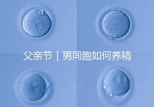 父親節｜男同胞如何養精蓄銳，一發即中？