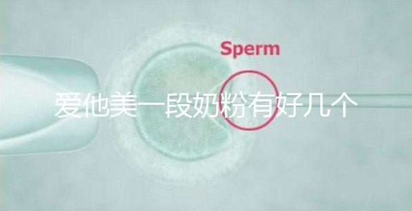 愛他美一段奶粉有好幾個版本，但真偽查詢方法都相似