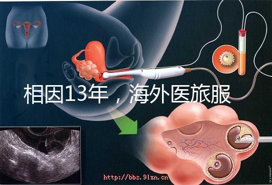 相因13年，海外醫(yī)旅服務標準制定者