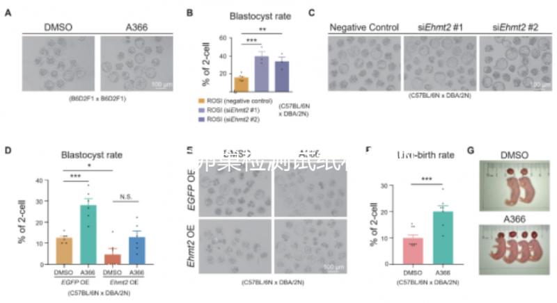 盤(pán)點(diǎn)卵巢檢測(cè)試紙和排卵試紙的區(qū)別,哪個(gè)更準(zhǔn)確