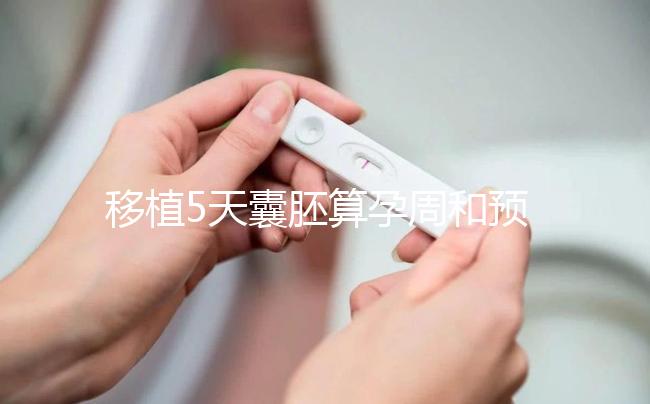 移植5天囊胚算孕周和預(yù)產(chǎn)期有訣竅，專家：用這2種方法