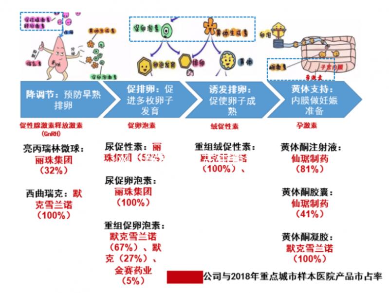 網上解密內蒙古生育登記要不要辦理，想造包頭怎么辦？