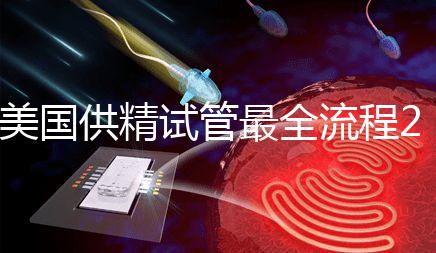 美國供精試管最全流程2024,時間長短關(guān)鍵看身體情況