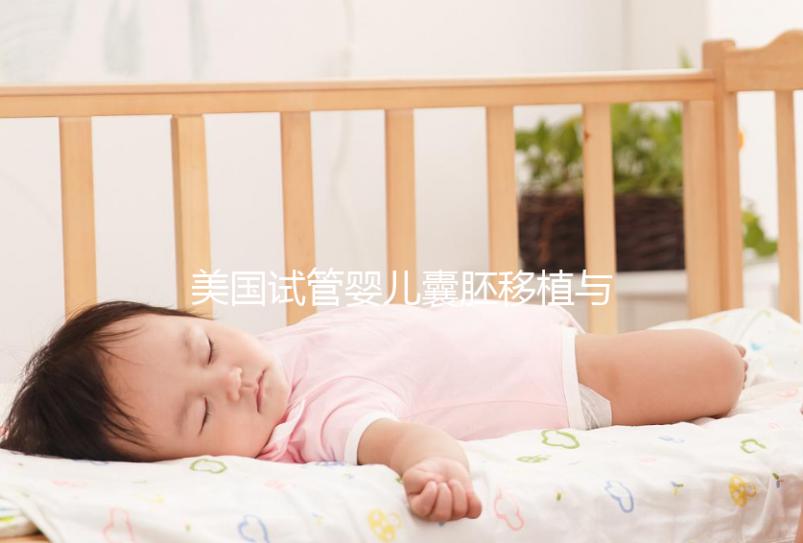 美國試管嬰兒囊胚移植與早期胚胎，有哪些不同？