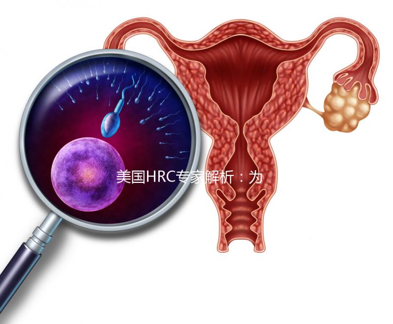 美國HRC專家解析：為何用第二代試管嬰兒技術(shù)結(jié)合精卵？–美國HRC