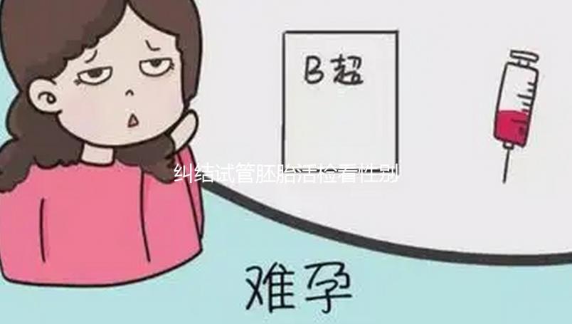 糾結(jié)試管胚胎活檢看性別準(zhǔn)不準(zhǔn)戳,怎么看這也有介紹