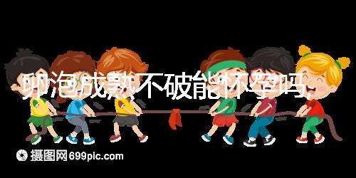 卵泡成熟不破能懷孕嗎,高齡備孕媽媽做好2點(diǎn)不用怕