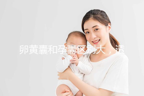 卵黃囊和孕囊區(qū)別大，透過B超首次為你揭露其形狀