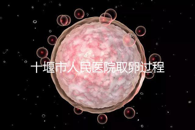 十堰市人民醫院取卵過程詳解，三種情況可全身麻醉