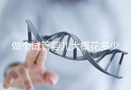 做個(gè)試管嬰兒大概花多少錢(qián)（做個(gè)試管嬰兒得花多少錢(qián)）