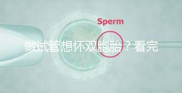 做試管想懷雙胞胎？看完這篇文章再決定