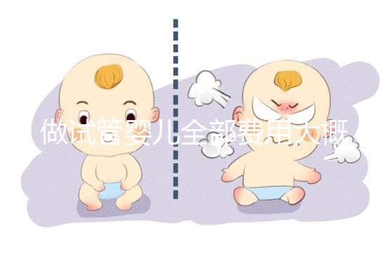做試管嬰兒全部費(fèi)用大概是多少(做試管嬰兒全部費(fèi)用大概是多少錢(qián))