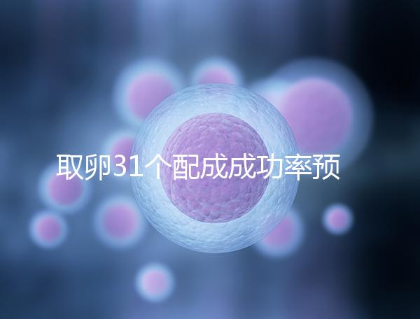 取卵31個配成成功率預測，鮮胚個數在這個范圍都有希望
