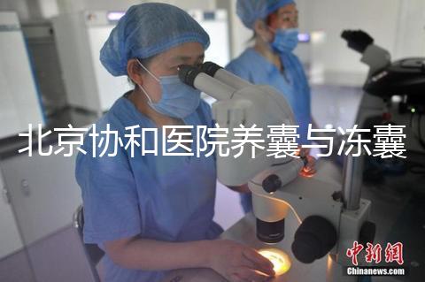 北京協和醫院養囊與凍囊費用參考，做好這4點成功率上漲