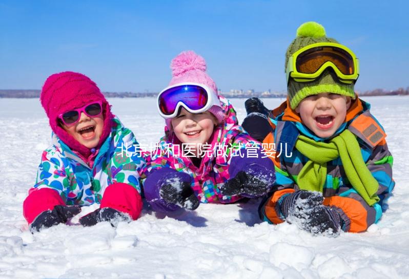 北京協(xié)和醫(yī)院做試管嬰兒需多少錢？附試管價格表