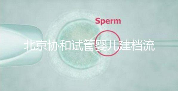 北京協和試管嬰兒建檔流程介紹，到院后掛號必不可少