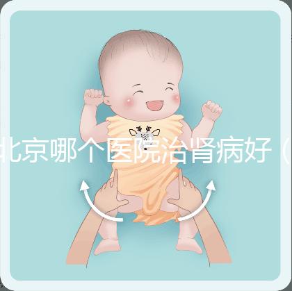 北京哪個醫(yī)院治腎病好（北京哪個醫(yī)院治腎病好一些）