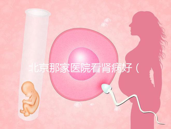 北京那家醫(yī)院看腎病好（北京腎病十大醫(yī)院排名）