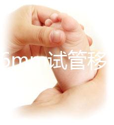 內膜16mm試管移植能否著床速覽，可否移植看身體情況