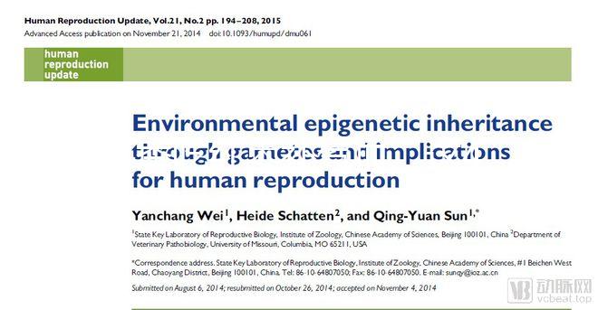 冬季吃紅棗補氣血，這4大禁忌孕婦千萬別犯