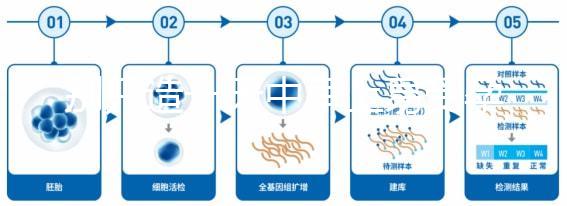 別只造一天中早上易受孕生男孩，60秒教你算出最佳同房時(shí)間