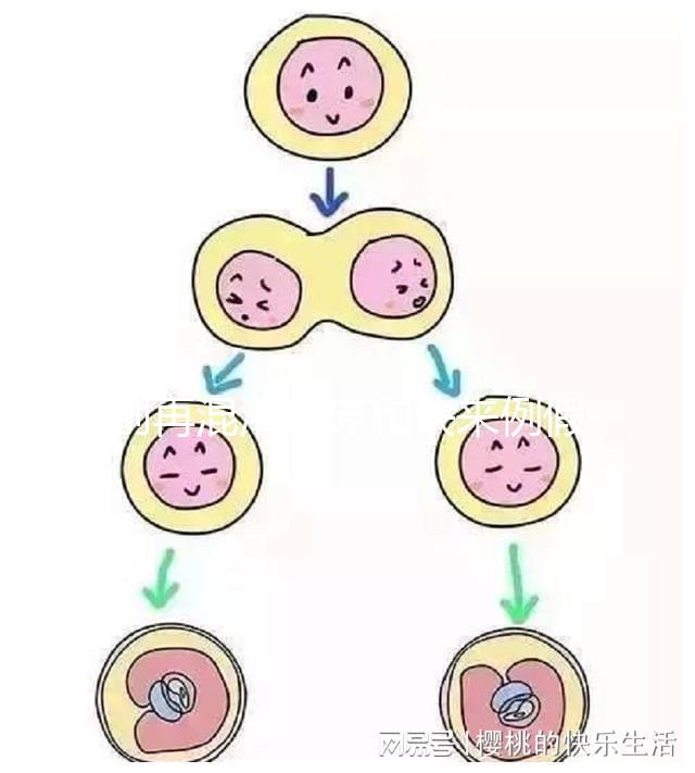 別再混淆著床和快來例假了，除了出血量還有這些區(qū)別