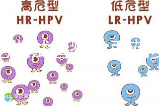 合肥做試管嬰兒要花多少錢?進(jìn)周期前這些注意事項(xiàng)都來看看