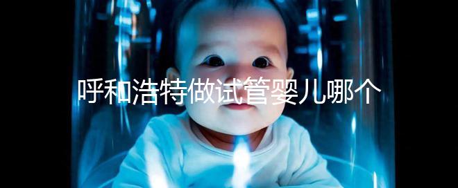 呼和浩特做試管嬰兒哪個醫(yī)院好?