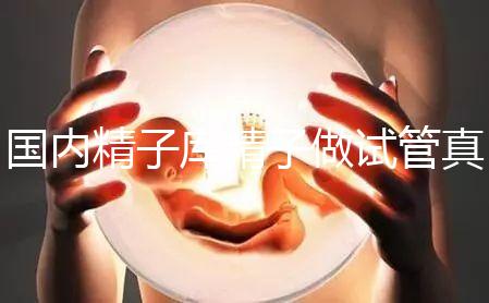 國(guó)內(nèi)精子庫(kù)精子做試管真不貴，費(fèi)用明細(xì)請(qǐng)快速收藏！
