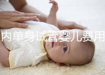 國內(nèi)單身試管嬰兒費用大概要多少錢一次？附費用明細(xì)！