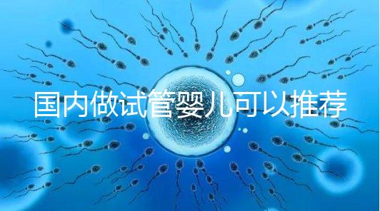 國內(nèi)做試管嬰兒可以推薦幾家好的醫(yī)院嗎