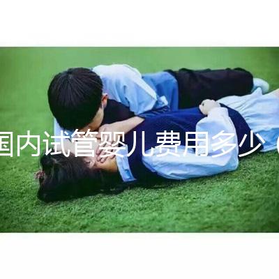 國(guó)內(nèi)試管嬰兒費(fèi)用多少(國(guó)內(nèi)試管嬰兒費(fèi)用多少錢)