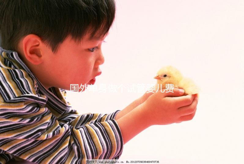 國(guó)外單身做個(gè)試管嬰兒費(fèi)用大概要多少?