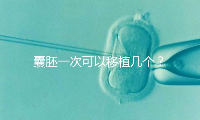 囊胚一次可以移植幾個？