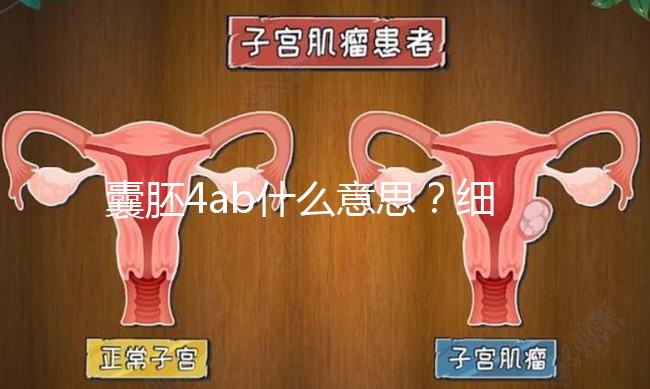 囊胚4ab什么意思？細說移植成功率