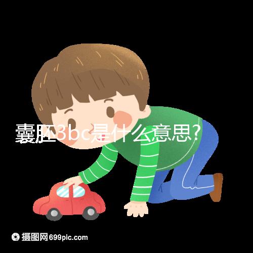 囊胚3bc是什么意思?認(rèn)識(shí)移植成功率和質(zhì)量好壞看這里