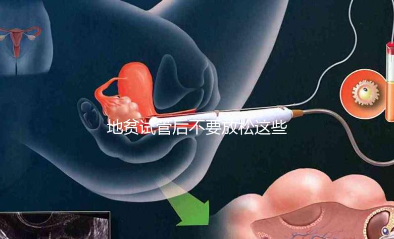 地貧試管后不要放松這些注意事項，不健康的飲食要小心，以前所有的工作都要放棄
