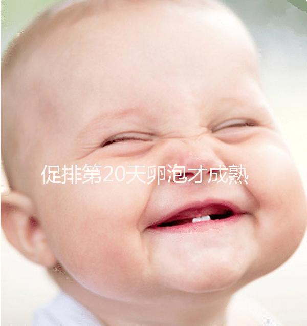 促排第20天卵泡才成熟真不會太晚，沒來月經15X13都有希望