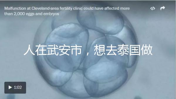 人在武安市，想去泰國做試管嬰兒生男孩要花多少錢？