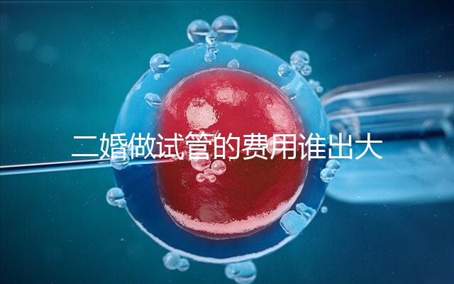 二婚做試管的費用誰出大揭秘！總共要花多少錢清清楚楚！