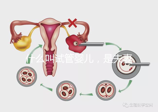 什么叫試管嬰兒,是夫妻親生的嗎?