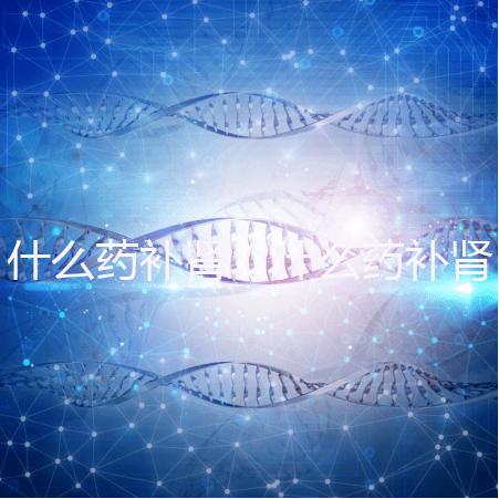 什么藥補(bǔ)腎（什么藥補(bǔ)腎壯陽效果最好）