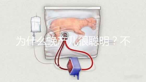 為什么晚產兒很聰明？不要被智商比同齡人高誤導