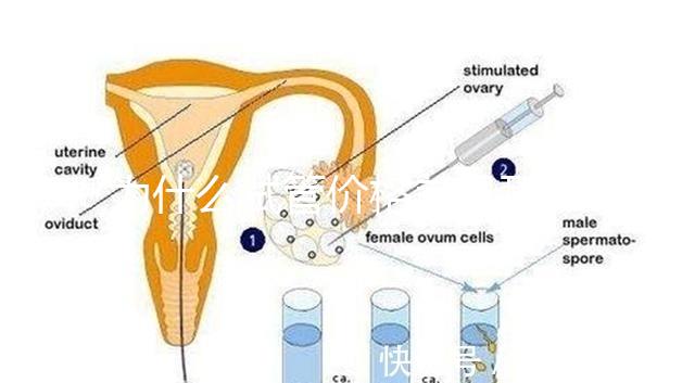 為什么試管價(jià)格差異那么大？做試管到底要花多少錢(qián)？