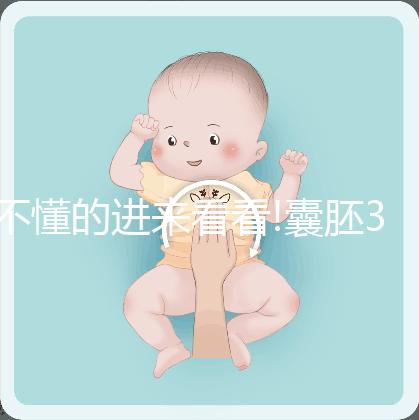 不懂的進(jìn)來(lái)看看!囊胚3bb質(zhì)量級(jí)別、成功率詳解
