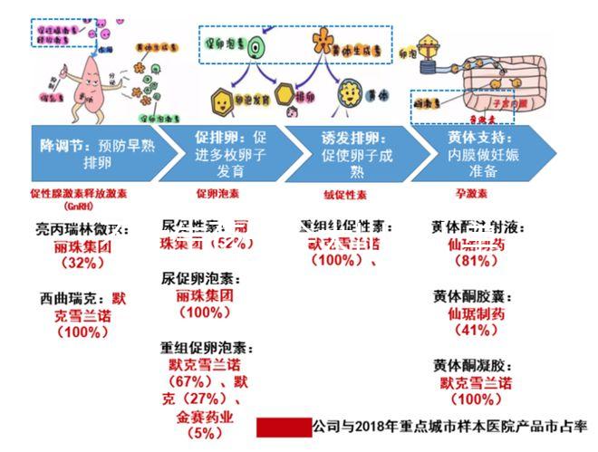 不止生孩子會大出血！單角子宮還要留意這4大健康威脅