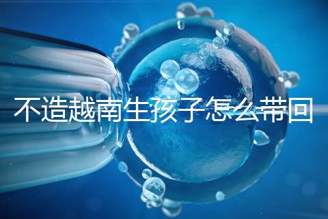 不造越南生孩子怎么帶回國(guó)戶口？流程和資料都有