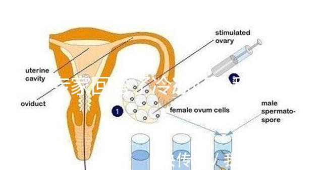 專家回答了冷凍胚胎移植前內(nèi)膜薄但卵泡成熟后是否可以移植