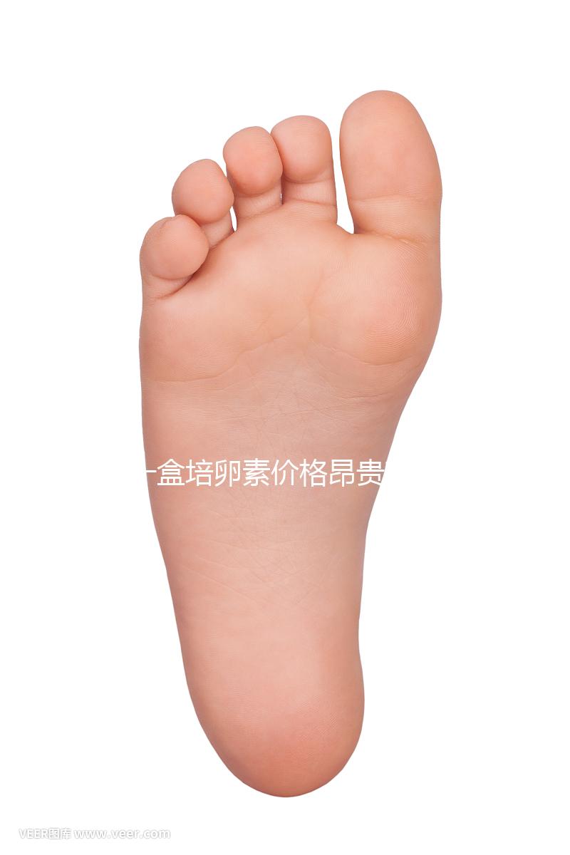 一盒培卵素價格昂貴有原因，避免假貨請選擇正規渠道