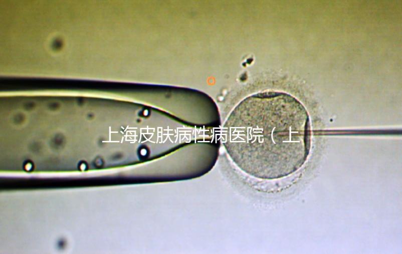 上海皮膚病性病醫院(上海梅毒醫院排名第一)